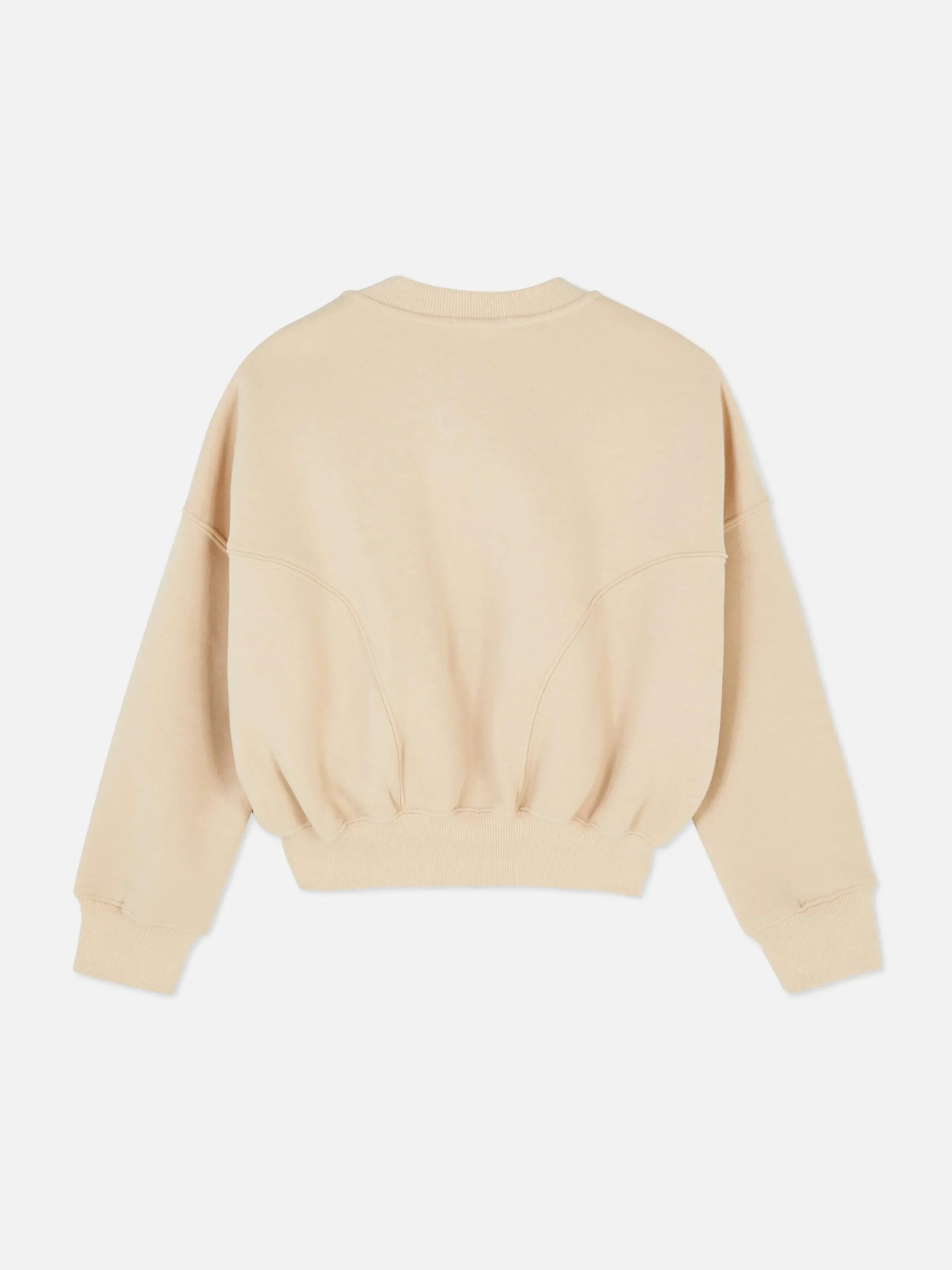 Sweats À Capuche Et Sweat-Shirts|Primark Blouson Bomber Zippé En Jersey Grège