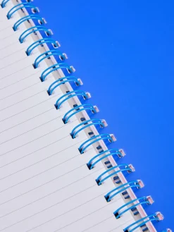 Carnets|Primark Carnet A4 à Imprimé Jaguar Rose