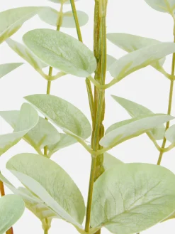 Plantes Et Fleurs Artificielles|Primark Eucalyptus Artificiel à Tige Unique Vert