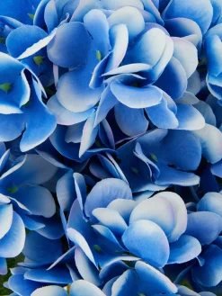 Plantes Et Fleurs Artificielles|Primark Faux Bouquet D'hortensia Bleu