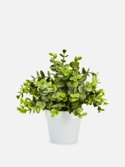 Plantes Et Fleurs Artificielles|Primark Petit Eucalyptus Artificiel Blanc