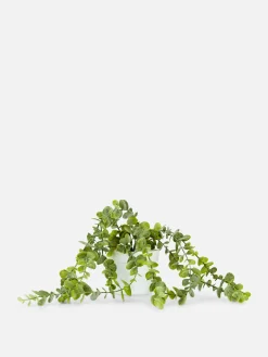 Plantes Et Fleurs Artificielles|Primark Plante Rampante Artificielle En Pot Blanc