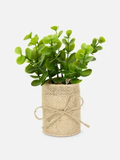 Plantes Et Fleurs Artificielles|Primark Succulente Artificielle Dans Un Pot En Jute Multicolore