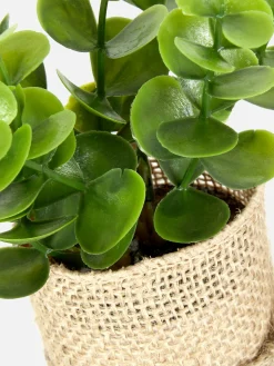 Plantes Et Fleurs Artificielles|Primark Succulente Artificielle Dans Un Pot En Jute Multicolore