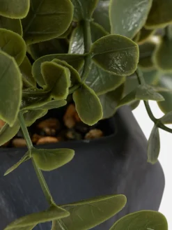 Plantes Et Fleurs Artificielles|Primark Succulente Artificielle Suspendue Dans Pot Géométrique Noir