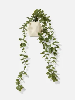 Plantes Et Fleurs Artificielles|Primark Succulente Artificielle Suspendue Dans Pot Géométrique Grège
