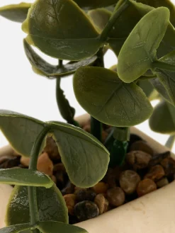 Plantes Et Fleurs Artificielles|Primark Succulente Artificielle Suspendue Dans Pot Géométrique Grège