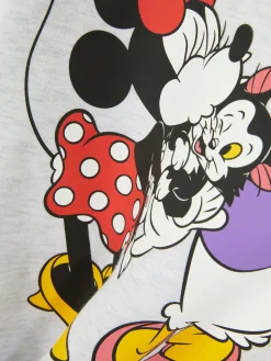 Sweats À Capuche Et Sweat-Shirts|Primark Sweat à Capuche Disney Minnie Mouse & Friends Gris chiné