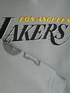 Sweats À Capuche Et Sweat-Shirts|Primark Sweat à Capuche NBA LA Lakers Gris foncé