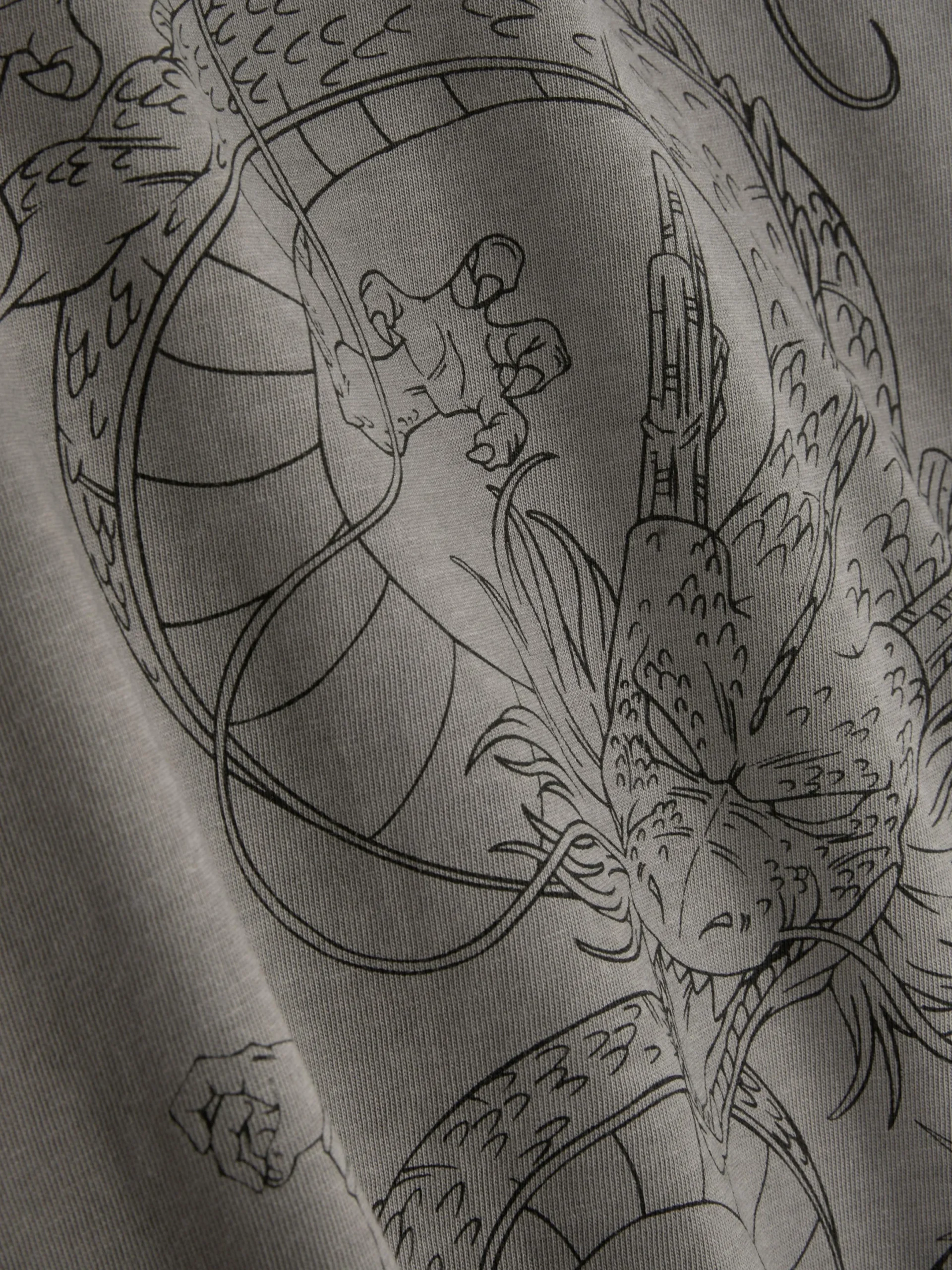 Hauts Et T-Shirts|Primark T-shirt Graphique Dragon Ball Z Gris clair